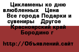 Цикламены ко дню влюбленных › Цена ­ 180 - Все города Подарки и сувениры » Другое   . Красноярский край,Бородино г.